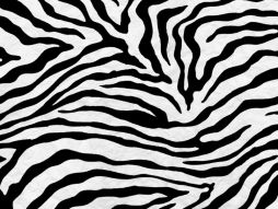 Фотообои фактура зебра