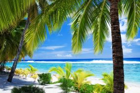 Фреска листья пальмы и пляж