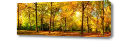Картина Осенний парк в лучах солнца