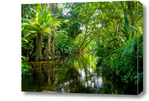 Картина Тропические листья над водой